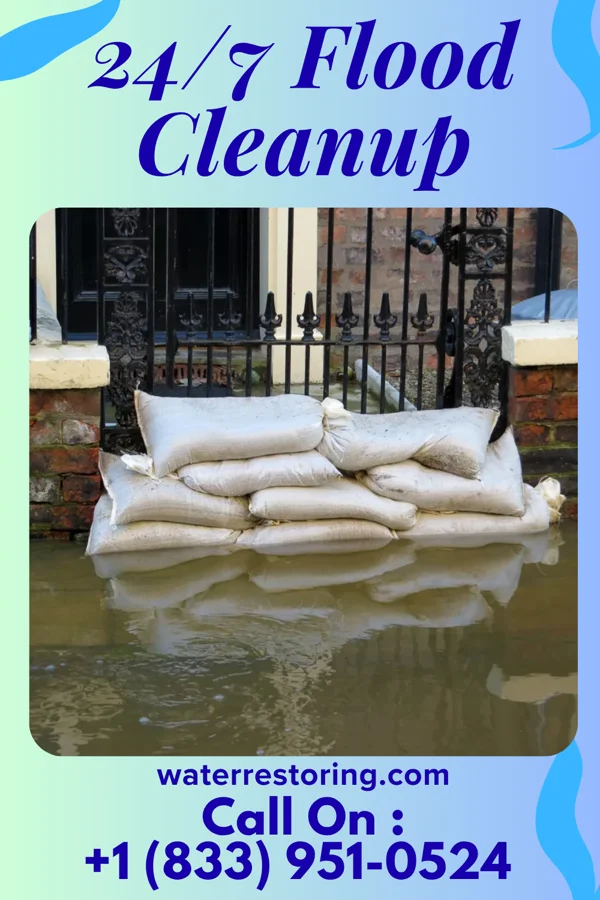 24/7 Flood Cleanup in Reasnor, IA