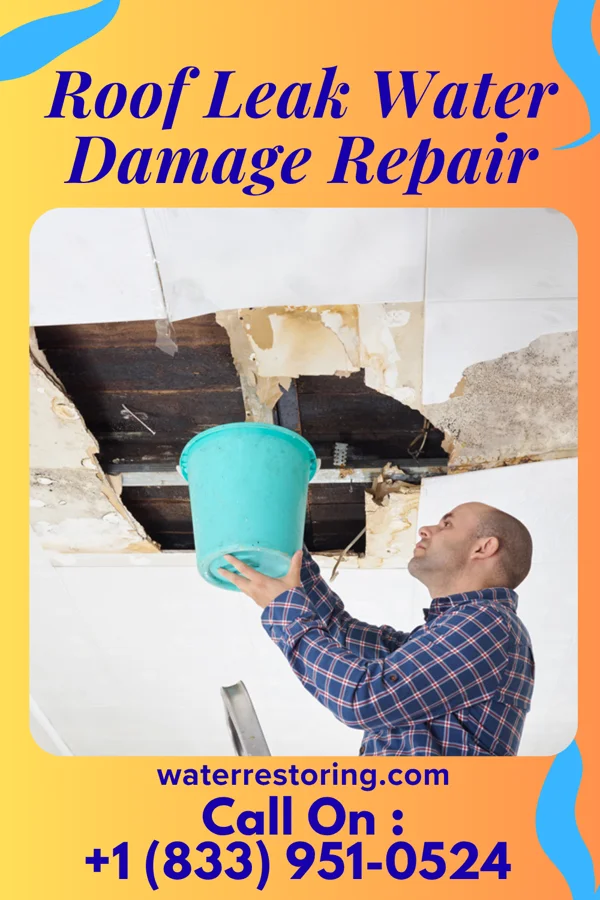 Roof Leak Water Damage Repair in Reasnor, IA