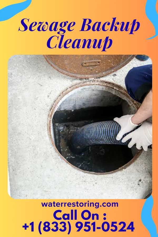 Sewage Backup Cleanup in Reasnor, IA
