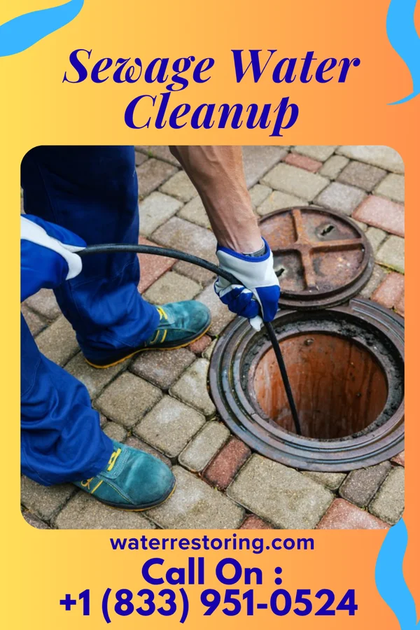 Sewage Water Cleanup in Reasnor, IA